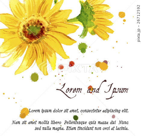 The composition of yellow sunflower painted in The composition of yellow sunflower painted in 26712592