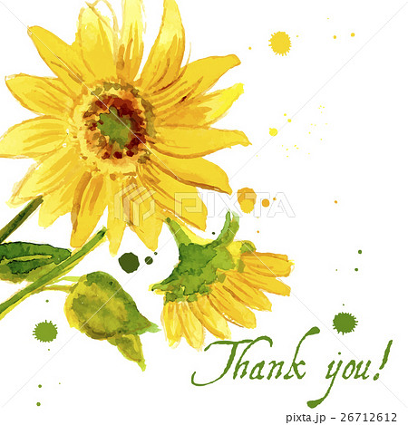 The composition of yellow sunflower painted in 26712612