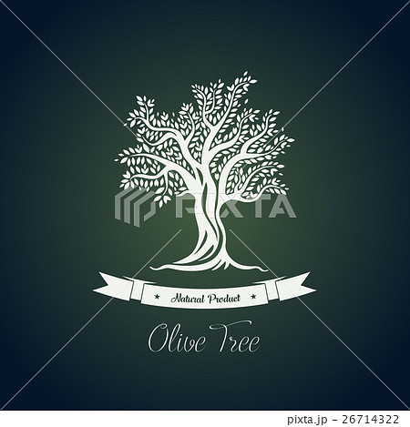 Fruit food plant or olive oil tree logo 26714322