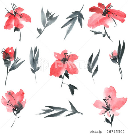 Charry flowers set 26715502