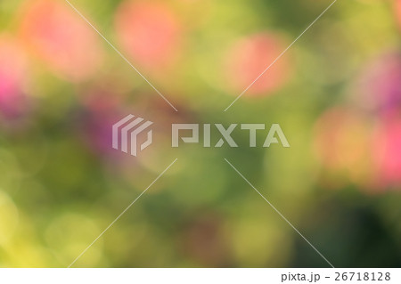秋の森の中の紅葉のボケ素材  26718128
