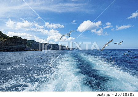積丹でクルージング イメージカット(+カモメ) 積丹でクルージング イメージカット(+カモメ) 26718385
