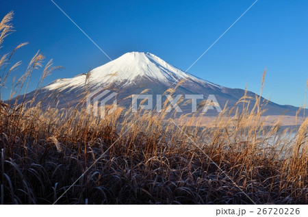 富士山とすすき 富士山とすすき 26720226