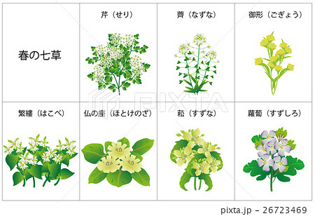 Spring Nanashinoshin Frame Name Stock Illustration