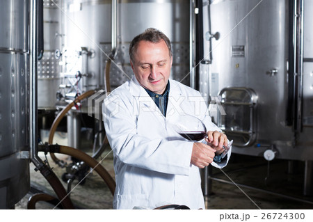 Wine maker controls quality of wine Wine maker controls quality of wine 26724300