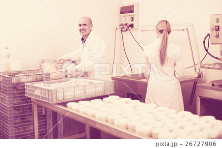 Workers on cheese production factory . Workers on cheese production factory . 26727906