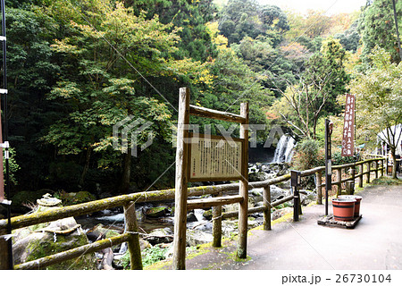 河津七滝　 26730104