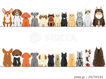 小型犬と猫のボーダーのセット 正面と後ろ姿のイラスト素材