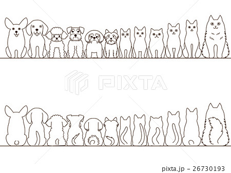 小型犬と猫のボーダーのセット 正面と後ろ姿のイラスト素材