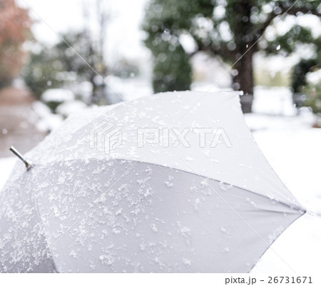 雪の景色 雪の景色 26731671