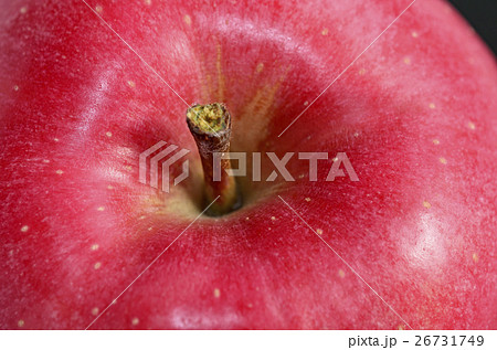リンゴ（陸奥） 26731749