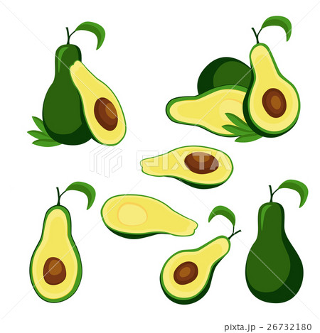 Ripe avocado fruit and halves isolated on white Ripe avocado fruit and halves isolated on white 26732180