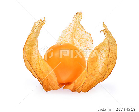 cape gooseberry,physalis isolated on white  26734518