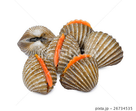 fresh cockles seafood isolated on white 26734535
