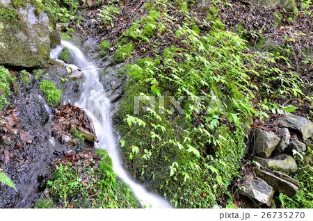 山の湧水 26735270