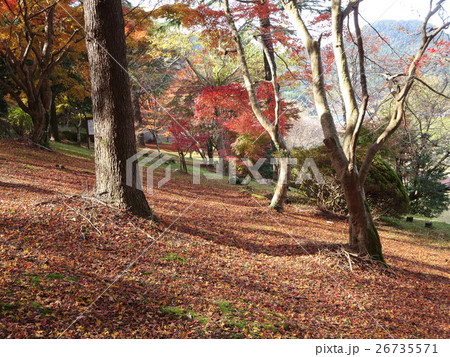 藺牟田池(ラムサ-ル条約登録池) 藺牟田池(ラムサ-ル条約登録池) 26735571