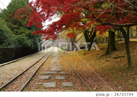 インクライン紅葉 26735704