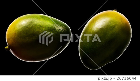 Fresh mango fruit isolated on black Fresh mango fruit isolated on black 26736044
