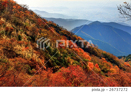 丹沢・鍋割山稜から見る紅葉の山肌と秦野市街方面 丹沢・鍋割山稜から見る紅葉の山肌と秦野市街方面 26737272