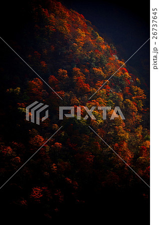 奥秩父の紅葉 奥秩父の紅葉 26737645