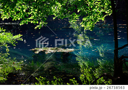 遊佐・丸池様 遊佐・丸池様 26738563