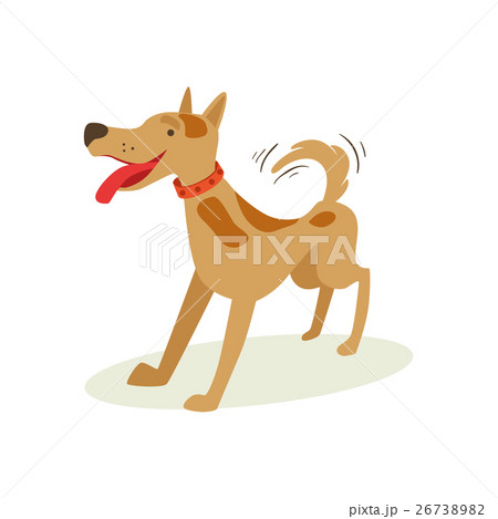 Excited Brown Pet Dog Wants To Play, Animal 26738982