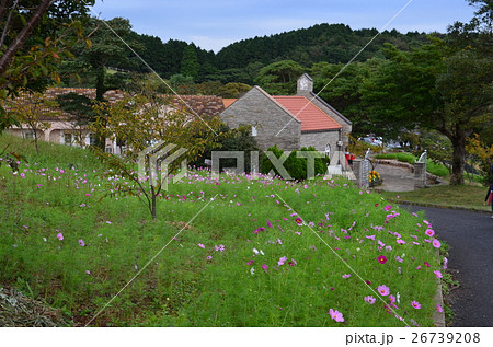 長崎あぐりの丘 26739208