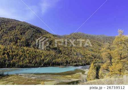 Wolong Bay Kanas Nature Reserve Xinjiang, China 26739512