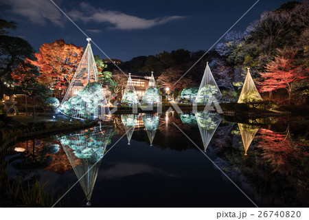 新江戸川公園　紅葉ライトアップ「ひごあかり」 26740820