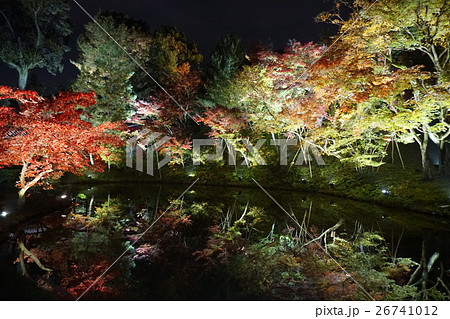 夜の紅葉 高台寺 夜の紅葉 高台寺 26741012