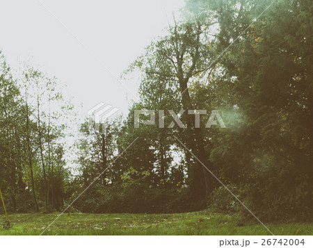 Piece Buttercream cake over white background Piece Buttercream cake over white background 26742004