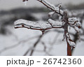 Branch of plant in the ice. Snowy winter landscape 26742360