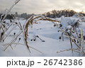 Branch of plant in the ice. Snowy winter landscape 26742386