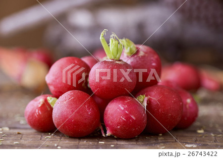 small european radishes small european radishes 26743422