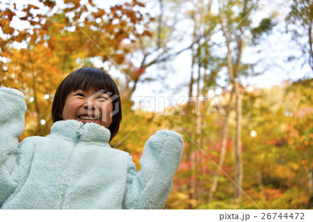 紅葉 26744472