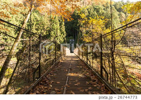 奥多摩しだくら橋の紅葉の写真素材