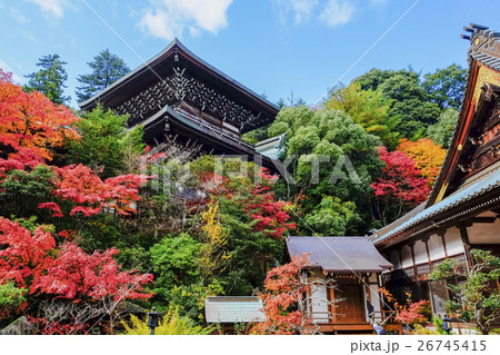 秋の大聖院魔尼殿 26745415
