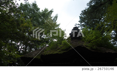 光泉寺 草津温泉 群馬県 光泉寺 草津温泉 群馬県 26750146