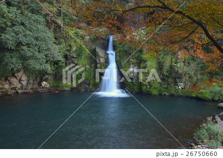 秋の観音滝 秋の観音滝 26750660