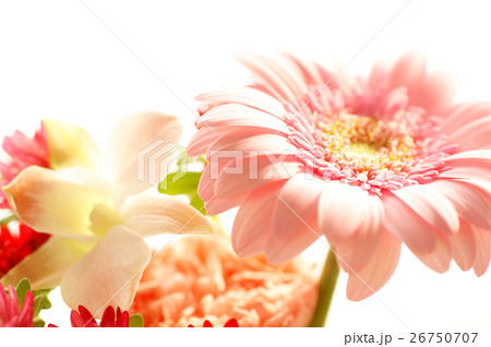 花 花 26750707