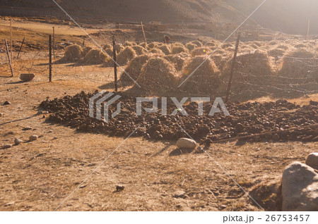 hay stacks and dungs in Tsomoriri, Ladakh hay stacks and dungs in Tsomoriri, Ladakh 26753457