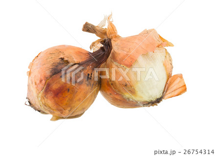 rotten onion isolated on white background 26754314