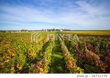 フランスブルゴーニュワイン畑 26755259