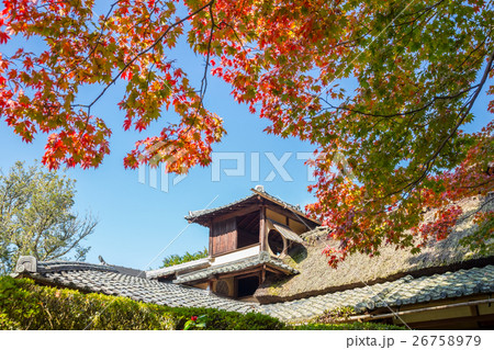 秋の詩仙堂 26758979