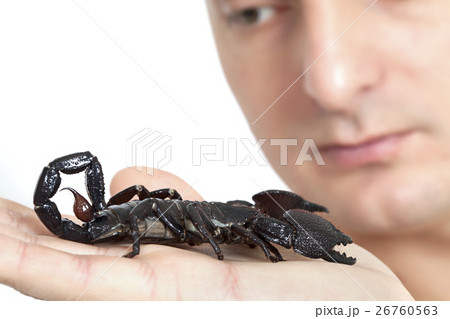 Young Caucasian man with scorpion 26760563