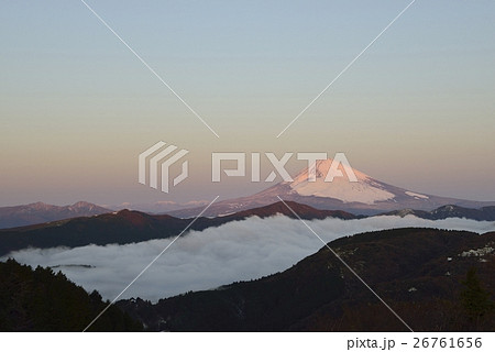 紅富士と雲海を大観山から眺める(神奈川県) 紅富士と雲海を大観山から眺める(神奈川県) 26761656