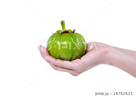 Garcinia cambogia fresh fruit on hand, isolated 26762623