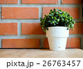 A tree pot against orange brick wall 26763457
