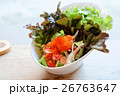Tobiko and salmon spicy salad  26763647
