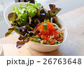 Tobiko and salmon spicy salad  26763648